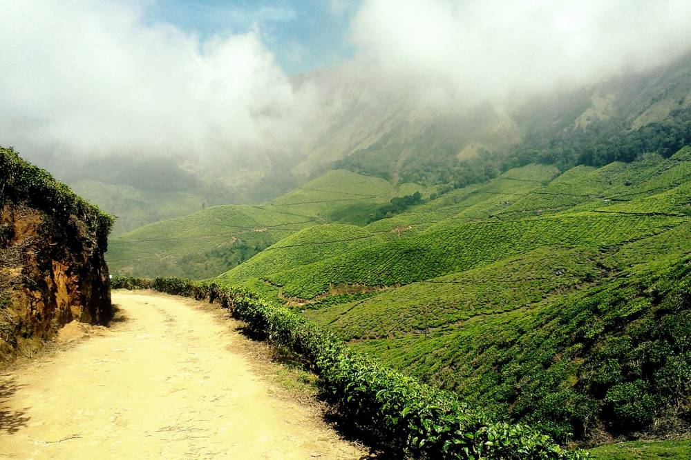 anamudi peak